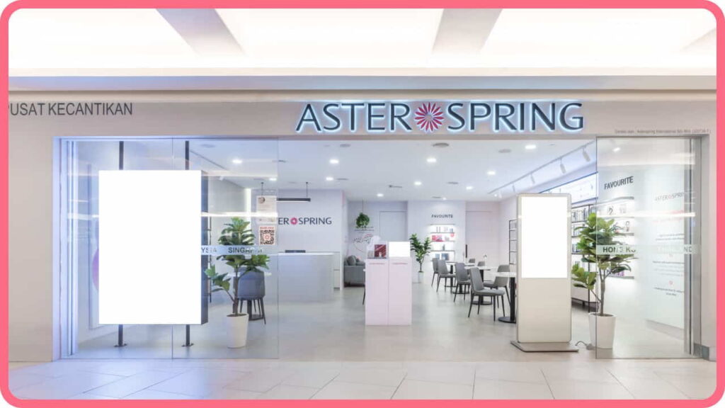 aster spring